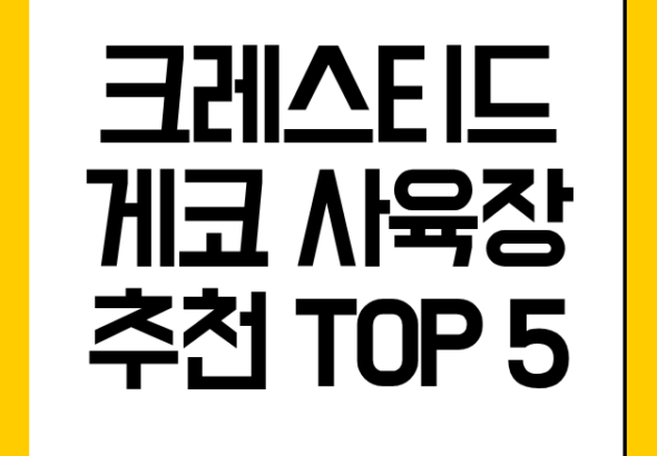 크레스티드 게코 사육장 추천 TOP 5