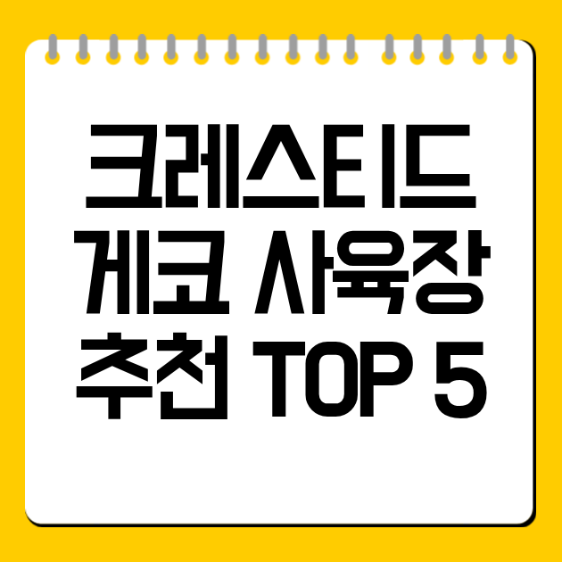 크레스티드 게코 사육장 추천 TOP 5